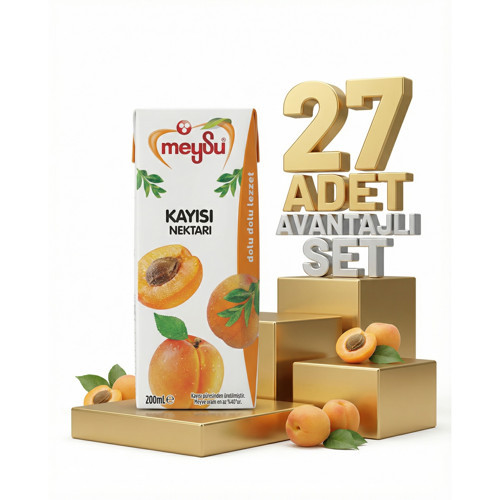 Nektar Kayısı 27x200 Ml
