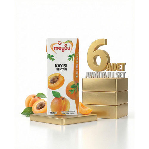 Nektar Kayısı 6x200 Ml