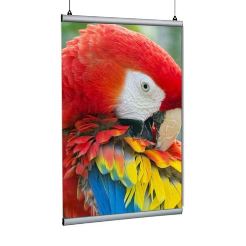 Poster Tutucu Clamp 70cm 2li Paket