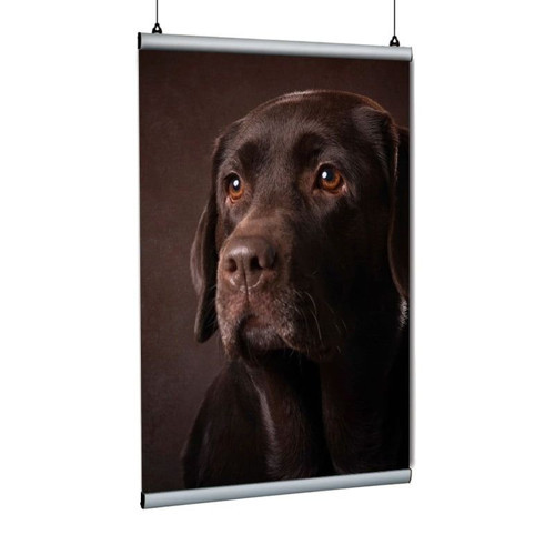 Poster Tutucu Clamp 21cm 5li Paket