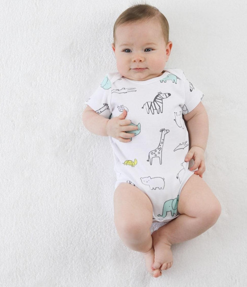 Bebek Body 3'lü Set Zoo Zoo