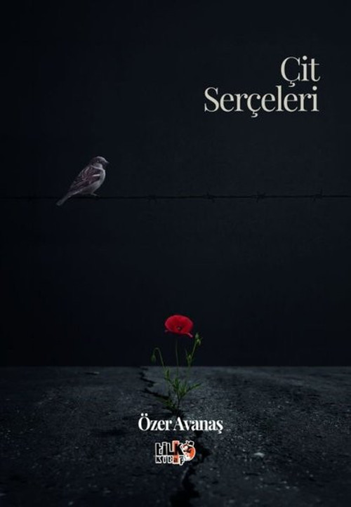 Çit Serçeleri