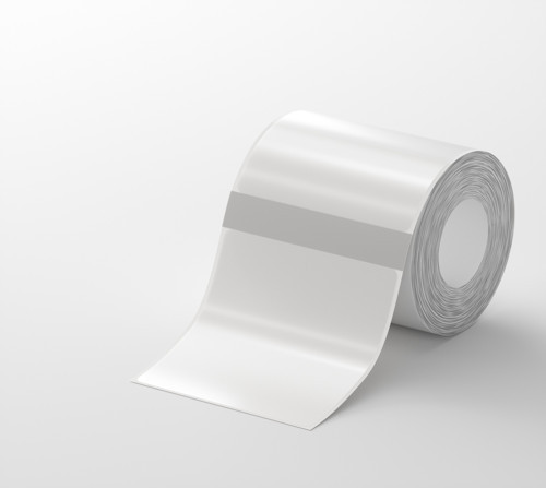 TT50*50-150 Adet Şeffaf Kare Etiket (B1/B21S/B3S/B21PRO)
