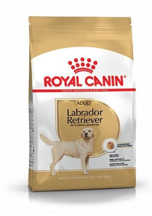Labrador Retriever Adult 12 Kg