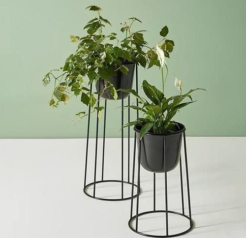 Mini Masaüstü Çiçeklik Saksılık 2'li Set 25-20 cm