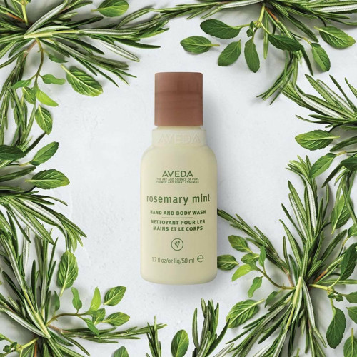 Rosemary Mint Hand And Body Wash El ve Vücut Duş Jeli 50ml