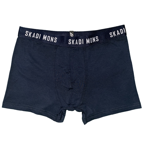 Basic Erkek Lacivert Boxer