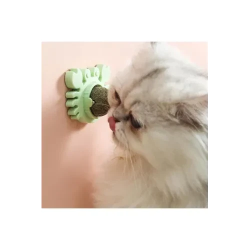ETT7KN8 Yengeç Kedi Otu Oyun Topu ELKCXMH