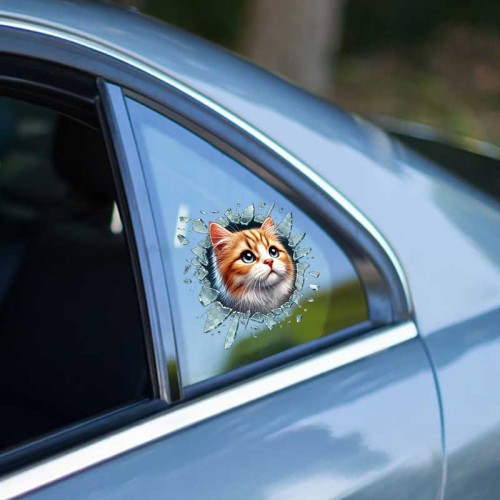 ETT7KN8 Fulcar Sarman Araç Stickerı ELKCXMH