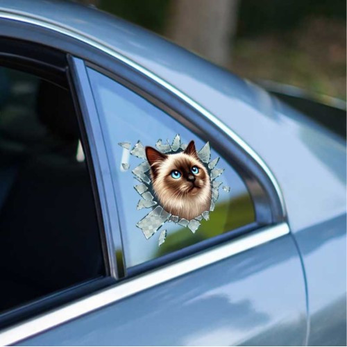 ETT7KN8 Fulcar Siamesse Araç Stickerı ELKCXMH