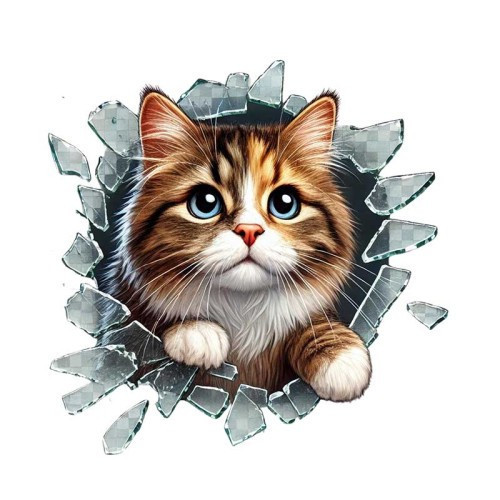 ETT7KN8 Fulcar Stray Araç Stickerı ELKCXMH