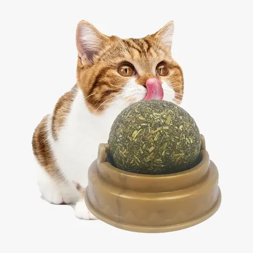 ETT7KN8 Kedi Nanesi Oyun Topu ELKCXMH