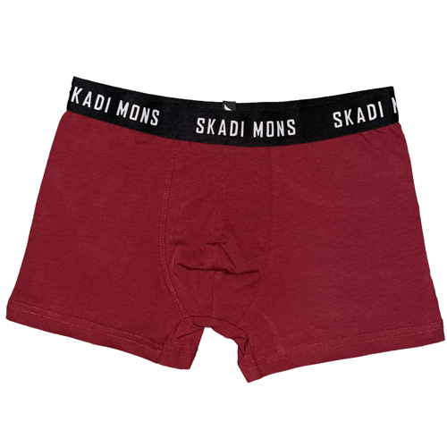 Basic Erkek Bordo Boxer