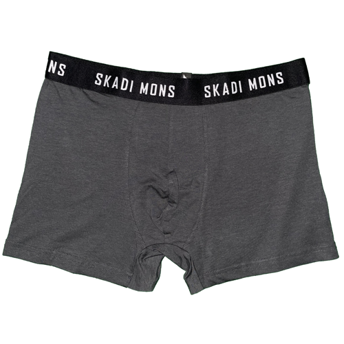 Basic Erkek Gri Boxer