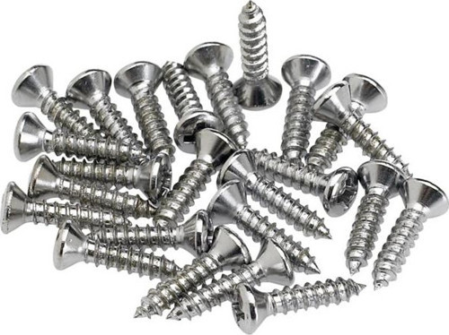 Pickguard/Control Plate Mounting Screws 24 Chrome Gitar Yedek Parça