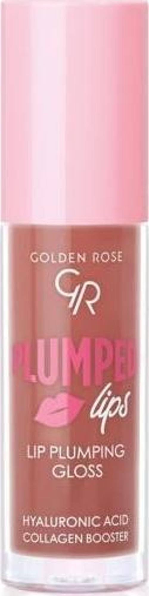 Lip Plumping Gloss 208 Dolgunlaştırıcı Dudak Parlatıcısı