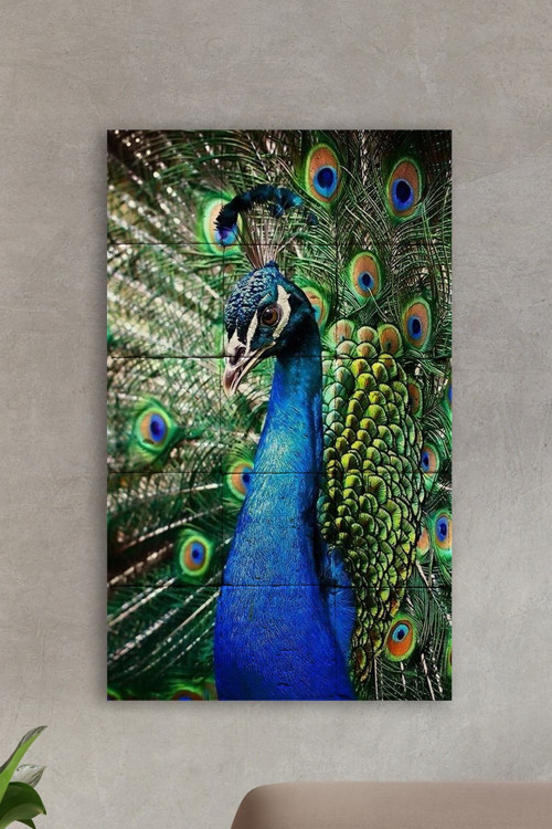 Doğal Taş Tablo - Tavuz Kuşu- Duvar Dekoru 30x50cm