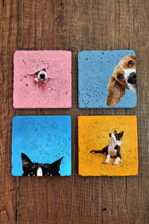 Doğal Taş Bardak Altlığı Renkli Kedi Ve Köpek Baskılı 4'lü Set