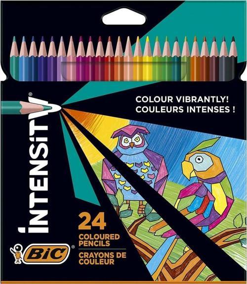 Intensity Color Up Kuru Boya Kalemi 24 Renk / 9641481