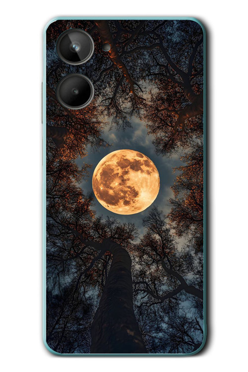 Realme 10 4G Uyumlu Ay Gökyüzü Baskılı Silikon Kılıf