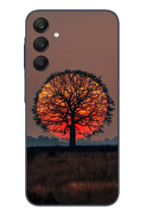 Samsung Galaxy A25 Uyumlu Güneşe Denk Gelen Ağaç Baskılı Silikon Kılıf