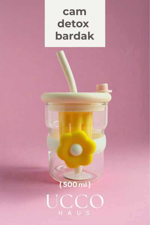 500ml Papatya Desenli Pipetli Cam Detox Termos Matara Bardak - Su Meşrubat Limonata Bardağı/607B