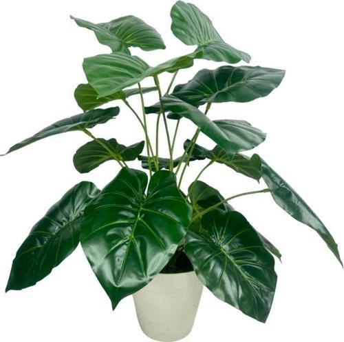 Yapay Çiçek Difenbahya Yeşil Salon Çiçeği 50 cm Beyaz Saksılı Yapay Bitki