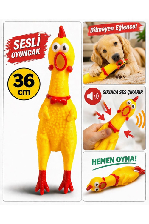 Sesli Tavuk Oyuncak Büyük Boy Köpek Oyuncağı Isırmalık Dayanıklı Lateks Zıplayan Sıkınca Öten Tavuk