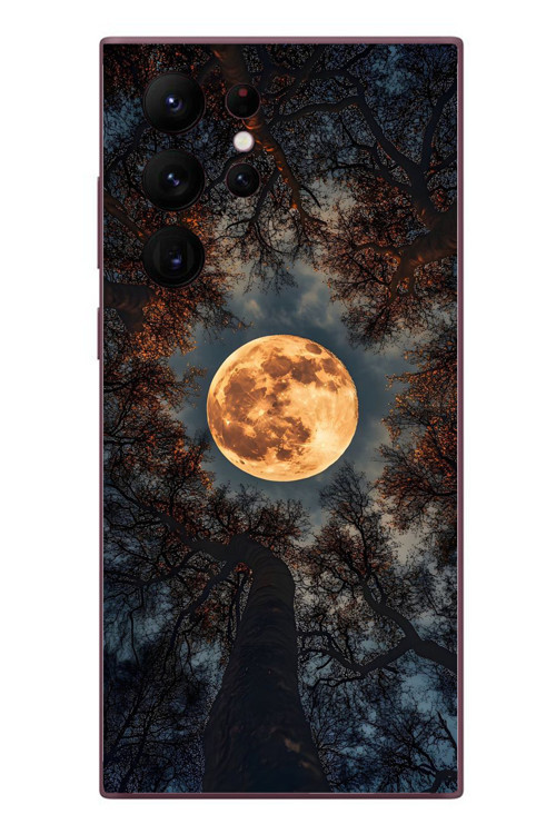 Samsung Galaxy S22 Ultra Uyumlu Ay Gökyüzü Baskılı Silikon Kılıf
