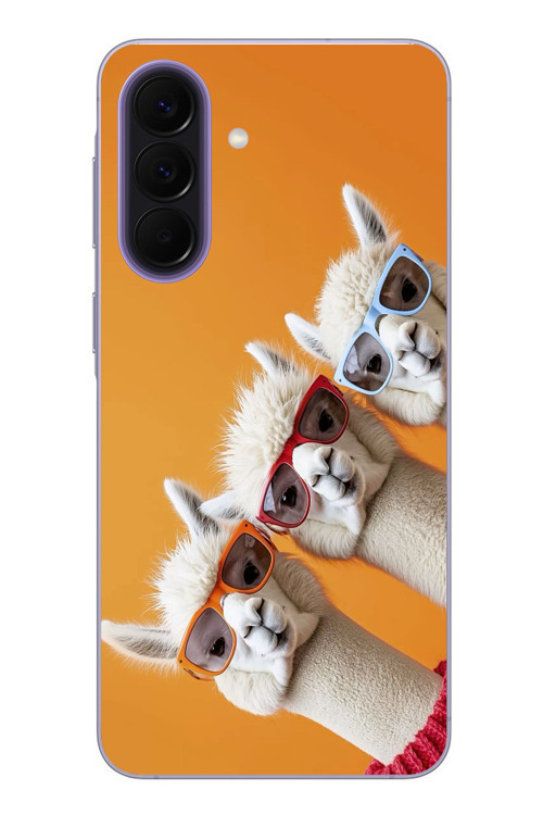Samsung Galaxy A57 Uyumlu Lamalar Baskılı Silikon Kılıf