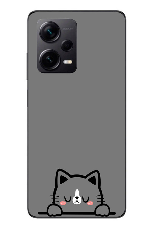 Redmi Note 12 Pro Plus Uyumlu Uyuyan Kedi Baskılı Silikon Kılıf