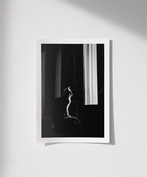Çerçevesiz Poster Pencere Önünde Düşler
