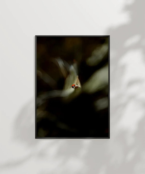 Uçan Küçük Kuş Poster