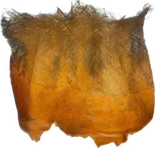 Kurutulmuş Palmiye Ağacı Kabuğu Lifi Natural Ağaç Gövdesi Kokos