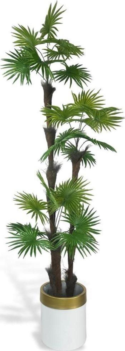 Yapay Ağaç Palmiye Fanpalm 3Katlı 24Yaprak Gold Kemerli Beyaz Saksıda 165*65 cm