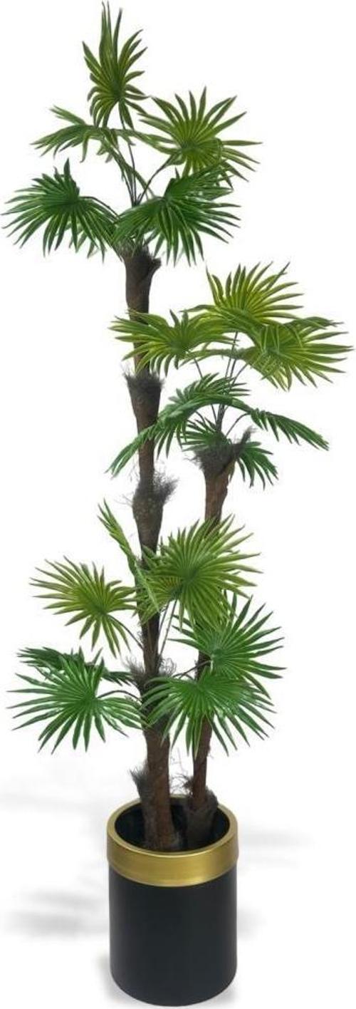 Yapay Ağaç Palmiye Fanpalm 3Katlı 24Yaprak Gold Kemerli Siyah Saksıda 165*65 cm