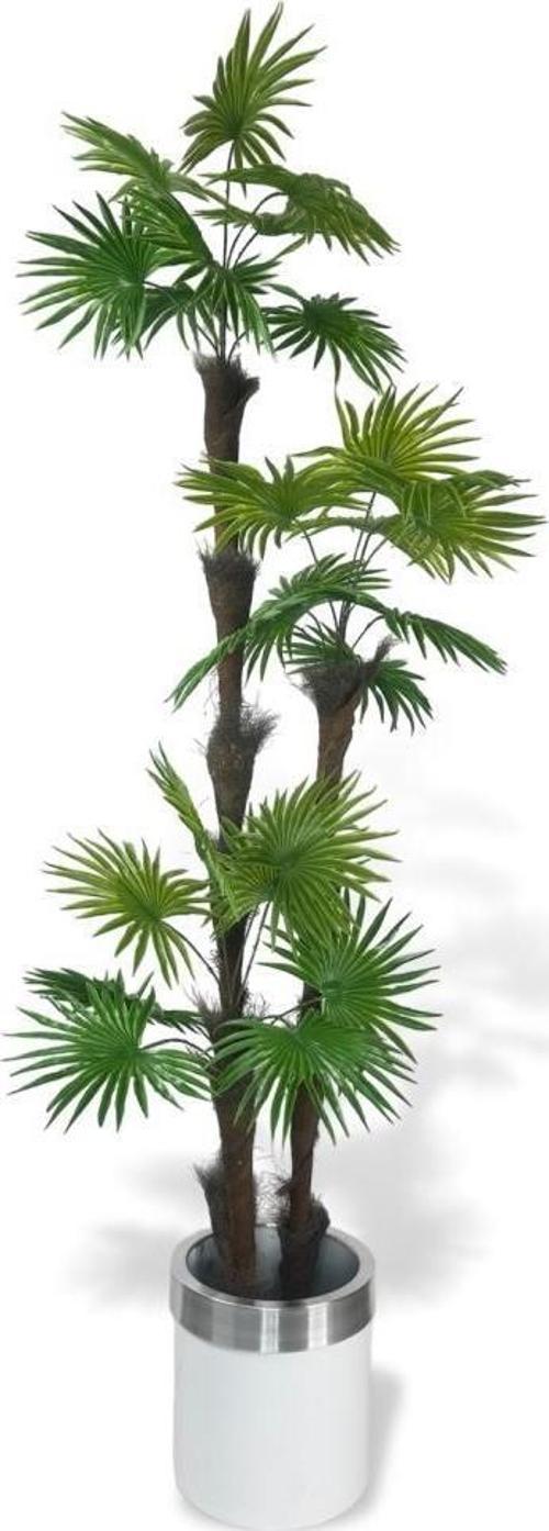 Yapay Ağaç Palmiye Fanpalm 3Katlı 24Yaprak Gümüş Kemerli Beyaz Saksıda 165*65 cm