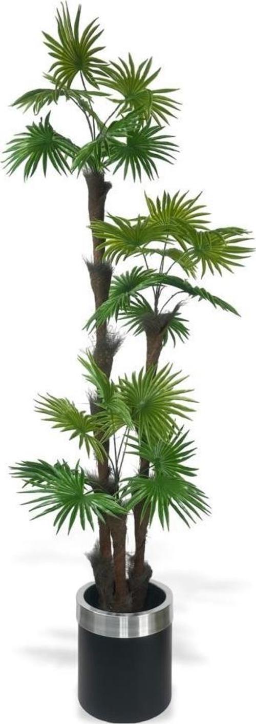 Yapay Ağaç Palmiye Fanpalm 3Katlı 24Yaprak Gümüş Kemerli Siyah Saksıda 165*65 cm