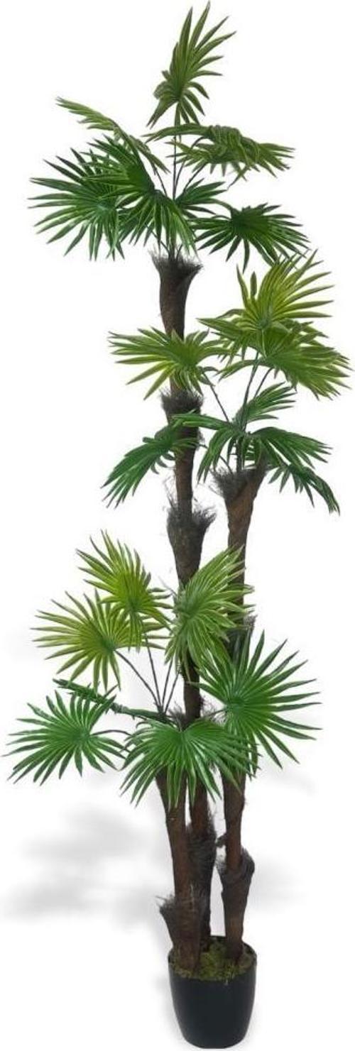 Yapay Ağaç Palmiye Fanpalm 3Katlı 24Yaprak Siyah Plastik Saksıda 165*65 cm