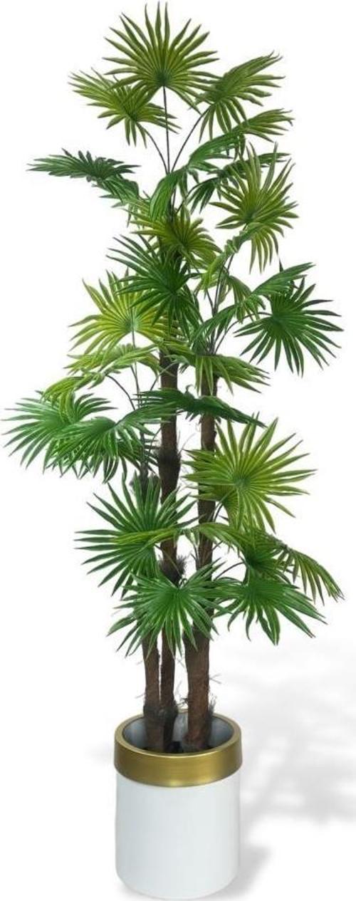 Yapay Ağaç Yelpaze Palmiye 4Katlı Fanpalm 32 Yaprak Altın Kemerli Beyaz Saksıda 170*65 cm