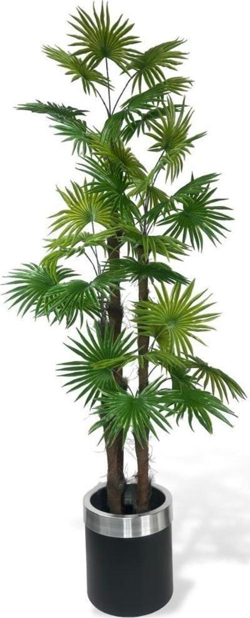 Yapay Ağaç Yelpaze Palmiye 4Katlı Fanpalm 32 Yaprak Gümüş Kemerli Siyah Saksıda 170*65 cm