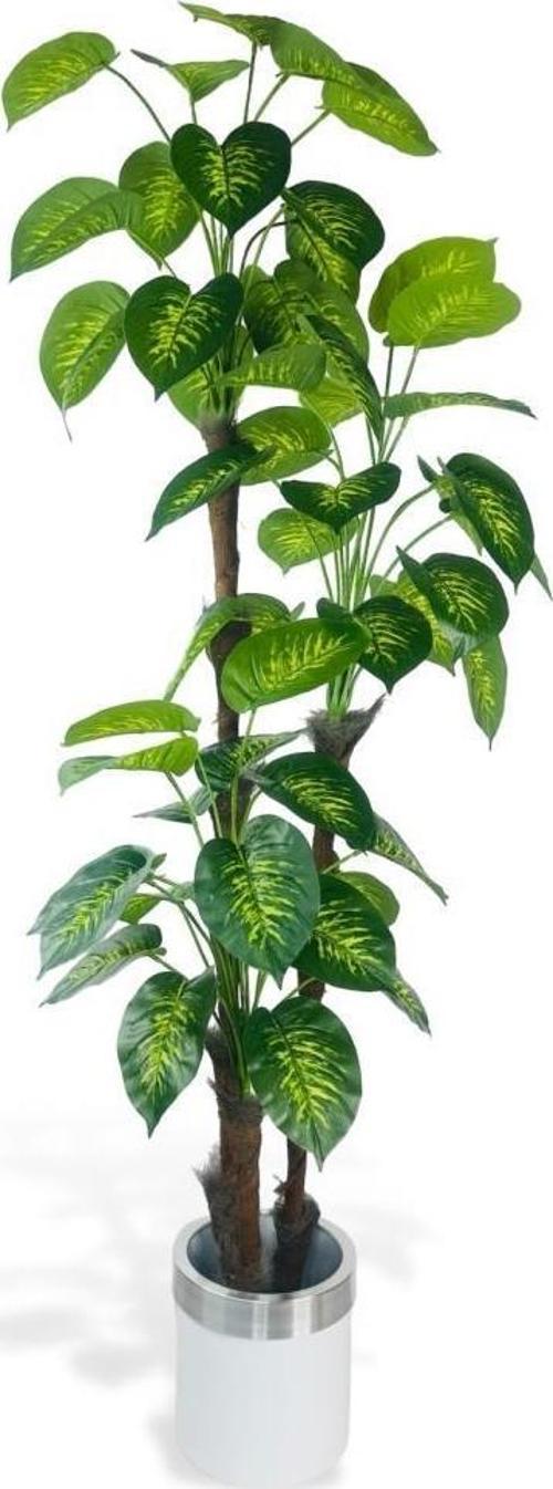 Yapay Çiçek Difenbahya Sarı Yeşil 3Katlı 190 cm 54Yaprak Gümüş Kemerli Beyaz Saksıda Yapay Bitki