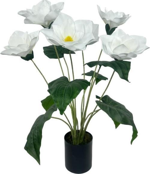 Yapay Çiçek Islak Manolya Çiçeği 6 Çiçekli 65 cm Siyah Saksıda Salon Çiçeği