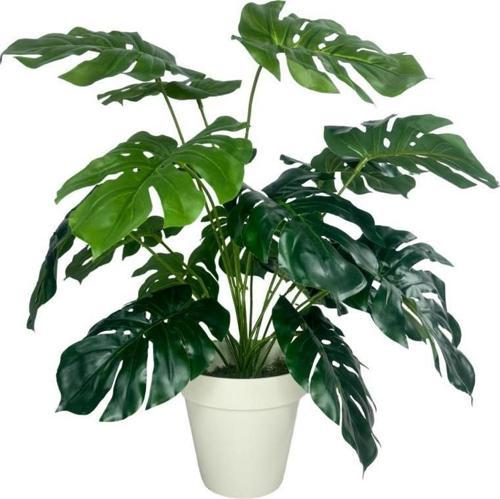 Yapay Çiçek Monstera Salon Çiçeği 50cm Beyaz Saksılı Yapay Bitki