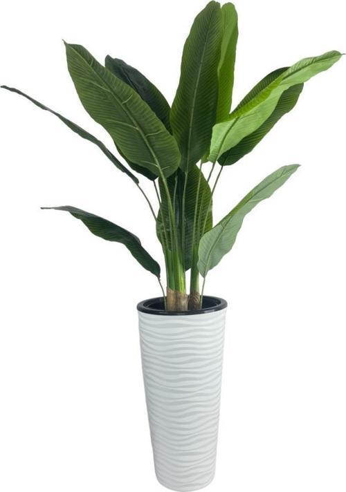 Yapay Starliçe Muz Ağacı Beyaz Kumsal Vazoda Muz Ağacı Yapay Starliçe 150 cm 12 Yaprak