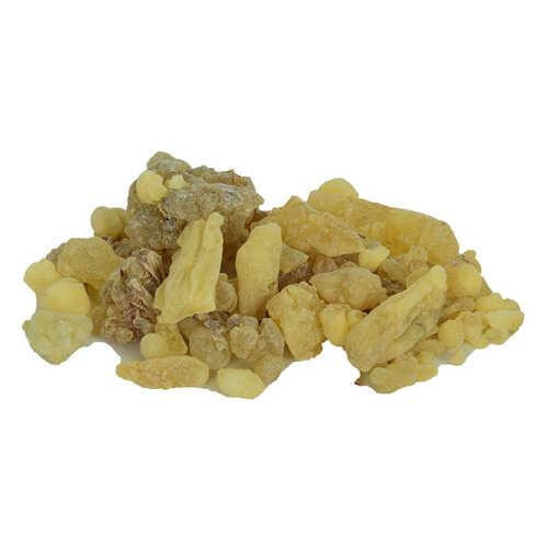 Akgünlük Sakızı 100 Gram Paket Doğal Ak günlük