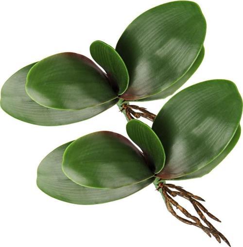 2li Set Yapay Çiçek Orkide Yaprağı Doğal Görünüm