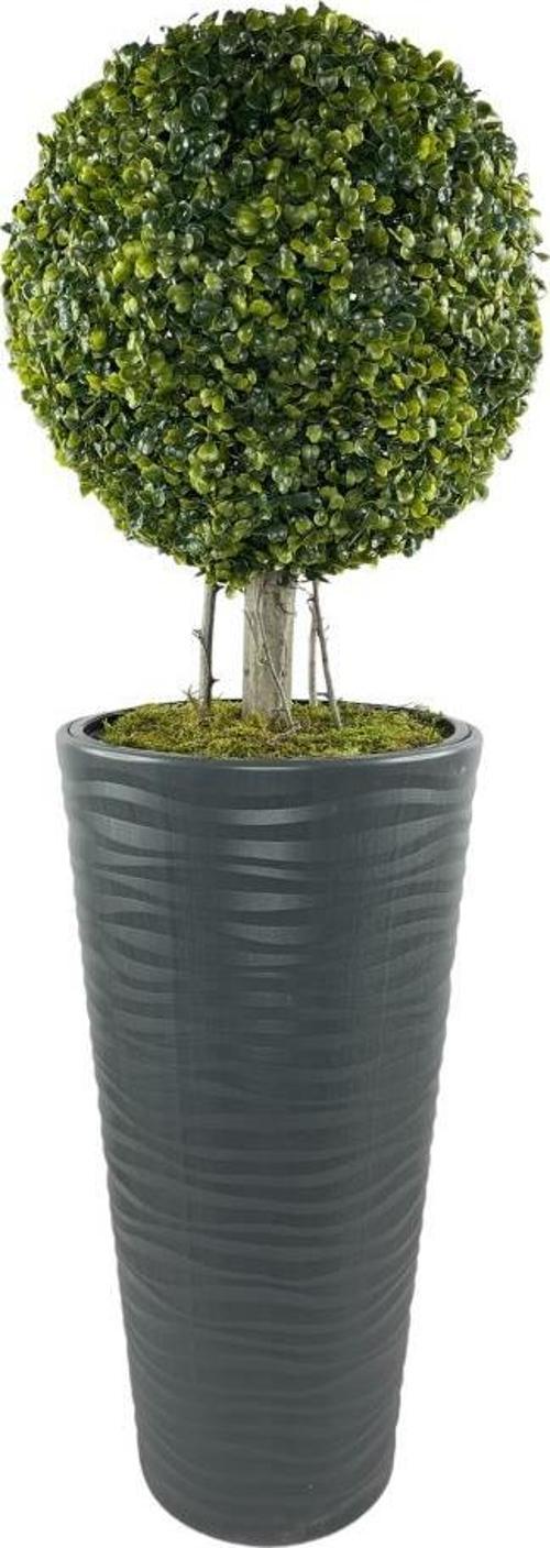 Yapay Ağaç Antrasit Uzun Kumsal Vazoda Şimşir Top Tek Toplu 105cm