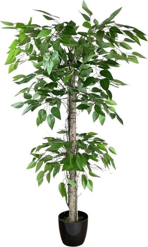 Yapay Ağaç Benjamin 2 Gövdeli Çalılı 2 Katlı 120x70cm Siyah Plastik Saksılı