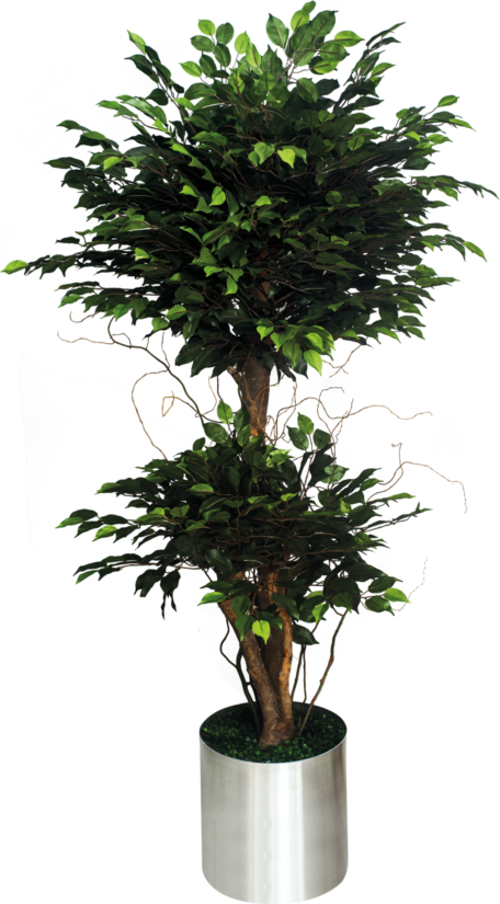 Nettenevime Yapay Ağaç Benjamin Iki Katlı Doğal Görünüm 1. Kalite